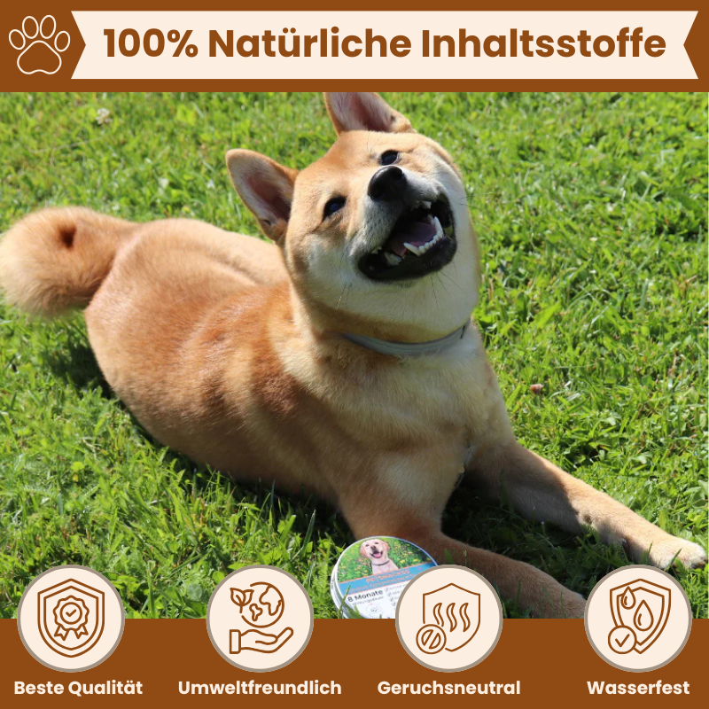 Petsnackss - Premium Halsband gegen Zecken & Flöhe