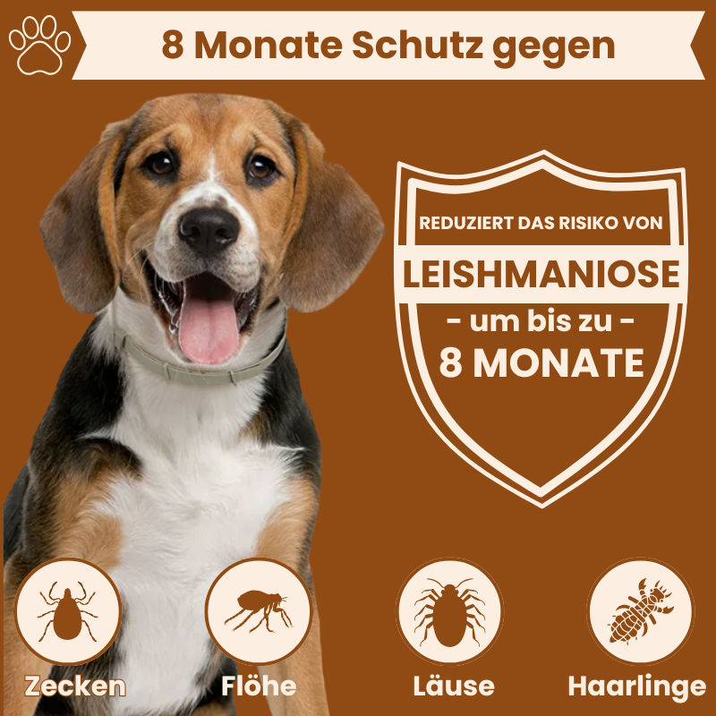 Petsnackss - Premium Halsband gegen Zecken & Flöhe
