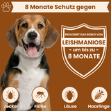 Petsnackss - Premium Halsband gegen Zecken & Flöhe