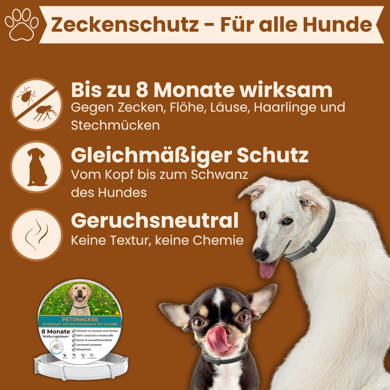 Petsnackss - Premium Halsband gegen Zecken & Flöhe