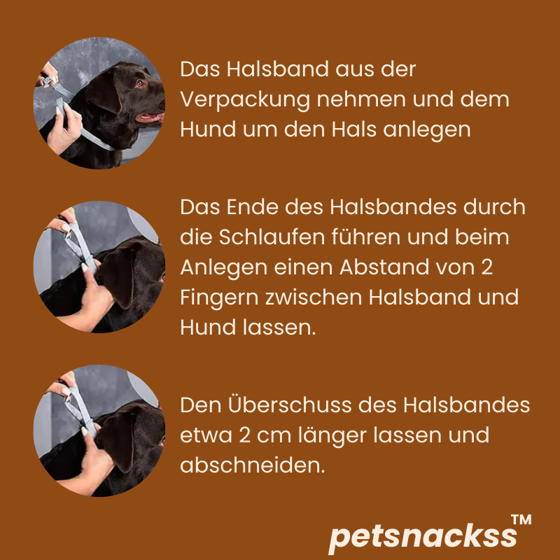 Petsnackss - Premium Halsband gegen Zecken & Flöhe