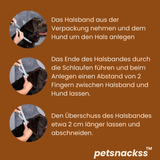 Petsnackss - Premium Halsband gegen Zecken & Flöhe