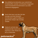 Petsnackss - Premium Halsband gegen Zecken & Flöhe