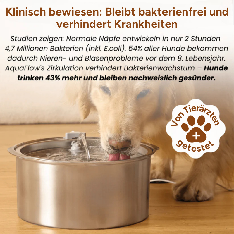 AquaClean™ - Der antibakterielle Wassernapf mit Filtration