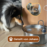 AquaClean™ - Der antibakterielle Wassernapf mit Filtration