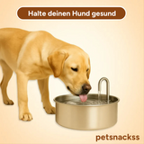 AquaClean™ - Der antibakterielle Wassernapf mit Filtration