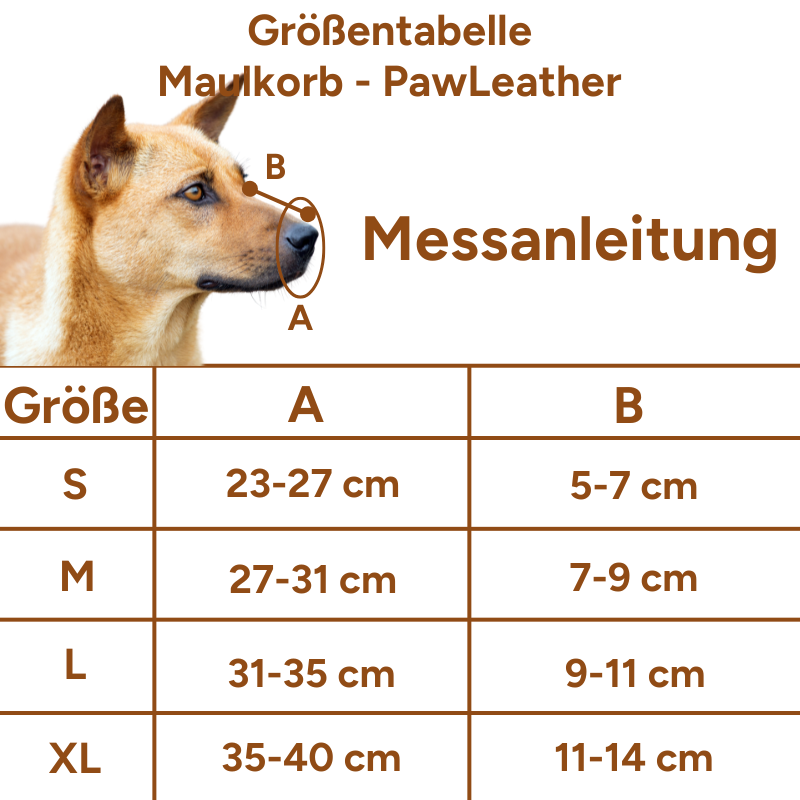 Maulkorb - DragoMouth