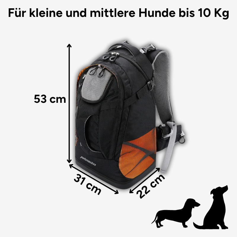 EasyGo Reise-Set für Hunde