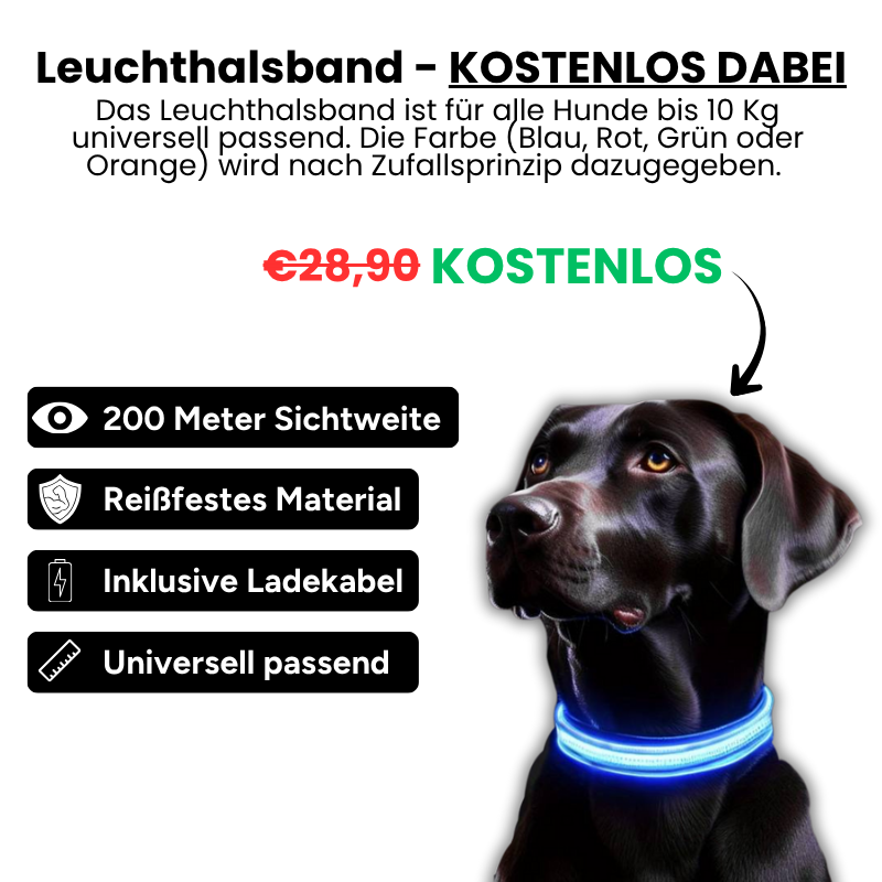 EasyGo Reise-Set für Hunde