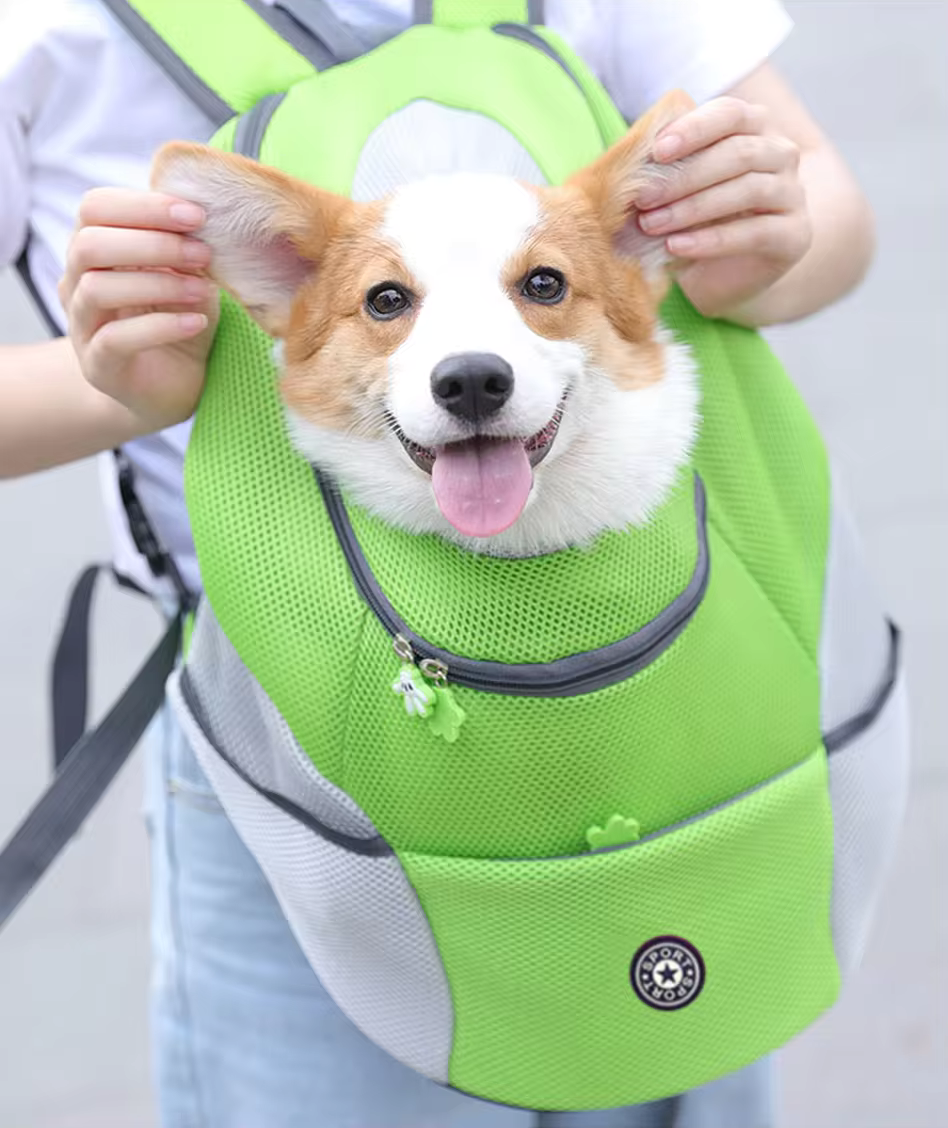 Petsnackss - Hunde-Rucksack