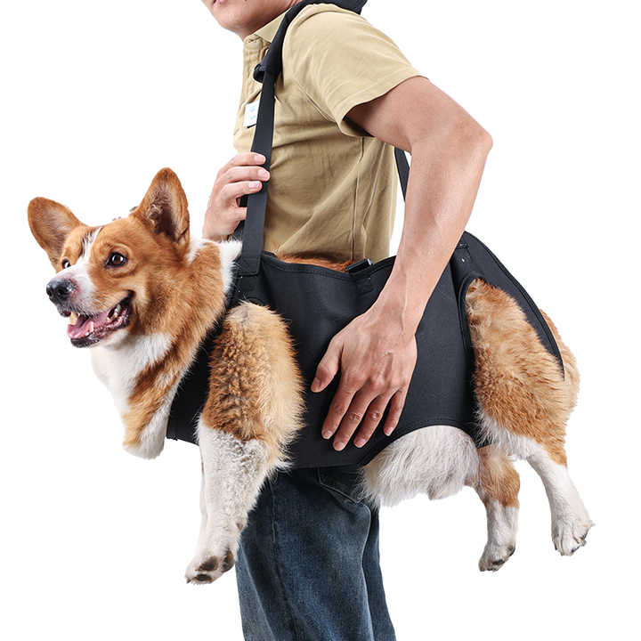 Hunde Tragetasche PetCare - bis 20 Kg