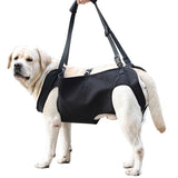 Hunde Tragetasche PetCare - bis 20 Kg
