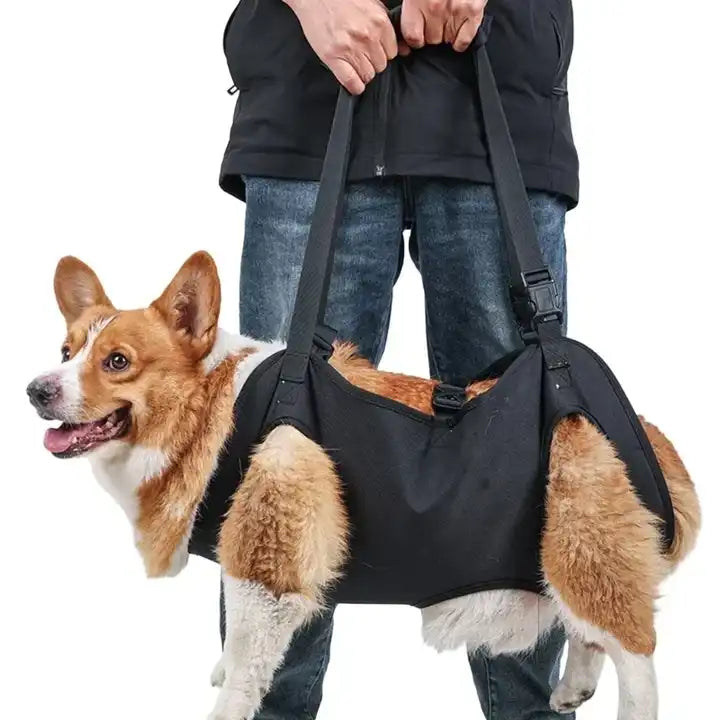 Hunde Tragetasche PetCare - bis 20 Kg
