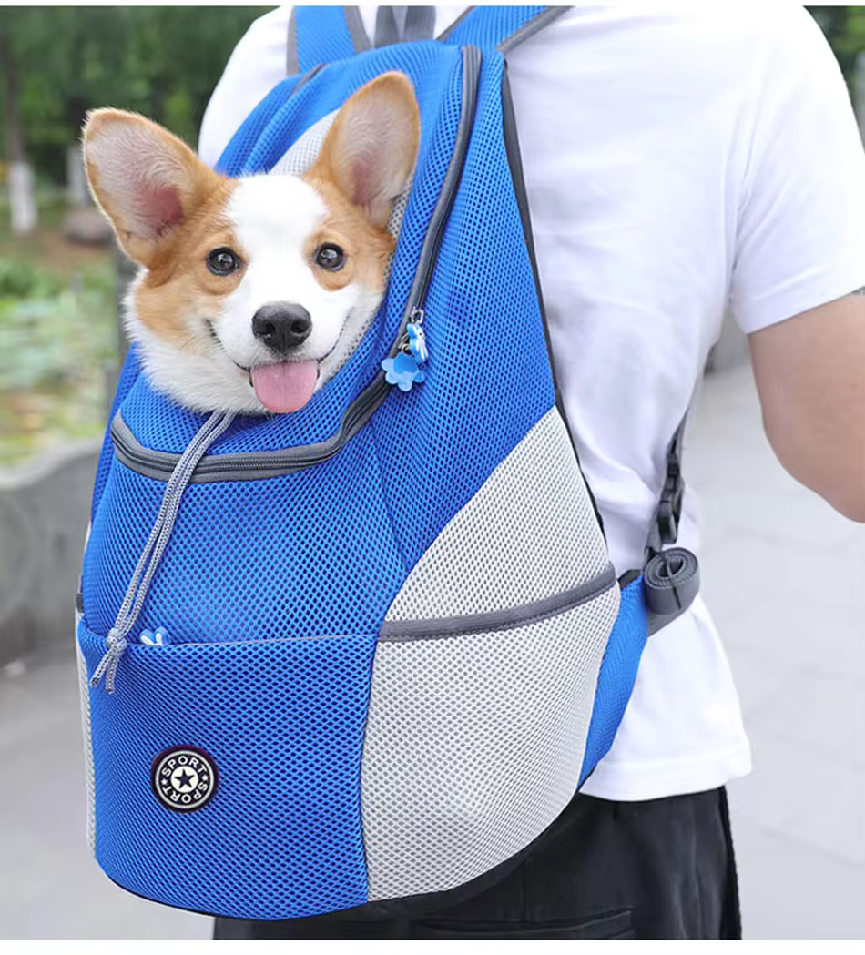 Petsnackss - Hunde-Rucksack