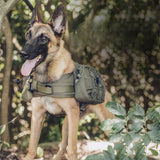 Taktischer Rucksack für Hunde
