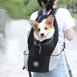 Petsnackss - Hunde-Rucksack