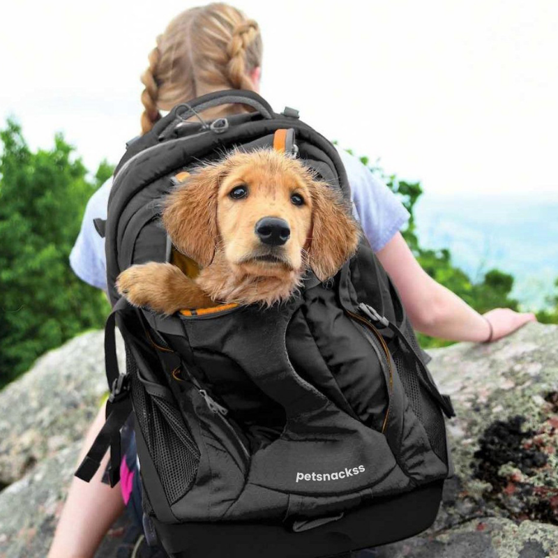 Hunderucksack PawGo - bis 12 Kg