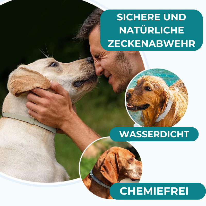 Petsnackss - Premium Halsband gegen Zecken & Flöhe