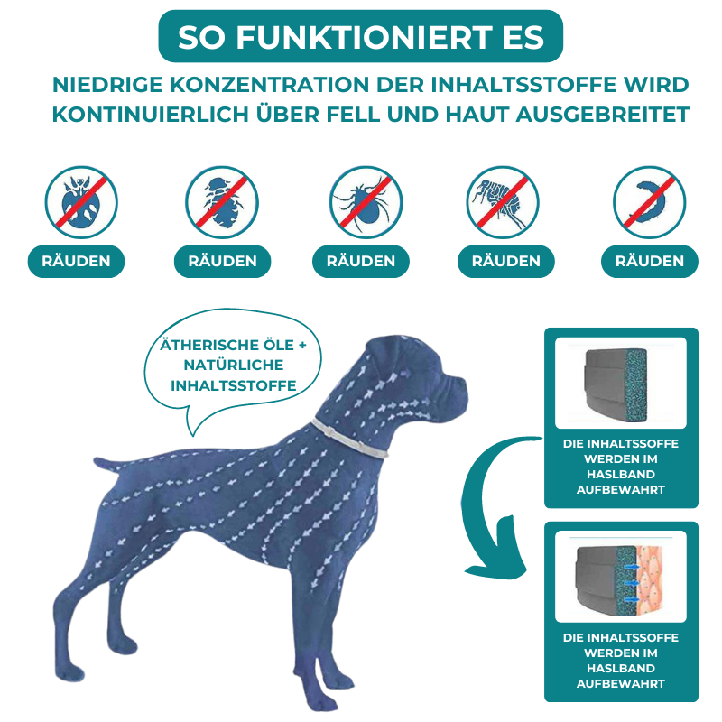 Petsnackss - Premium Halsband gegen Zecken & Flöhe