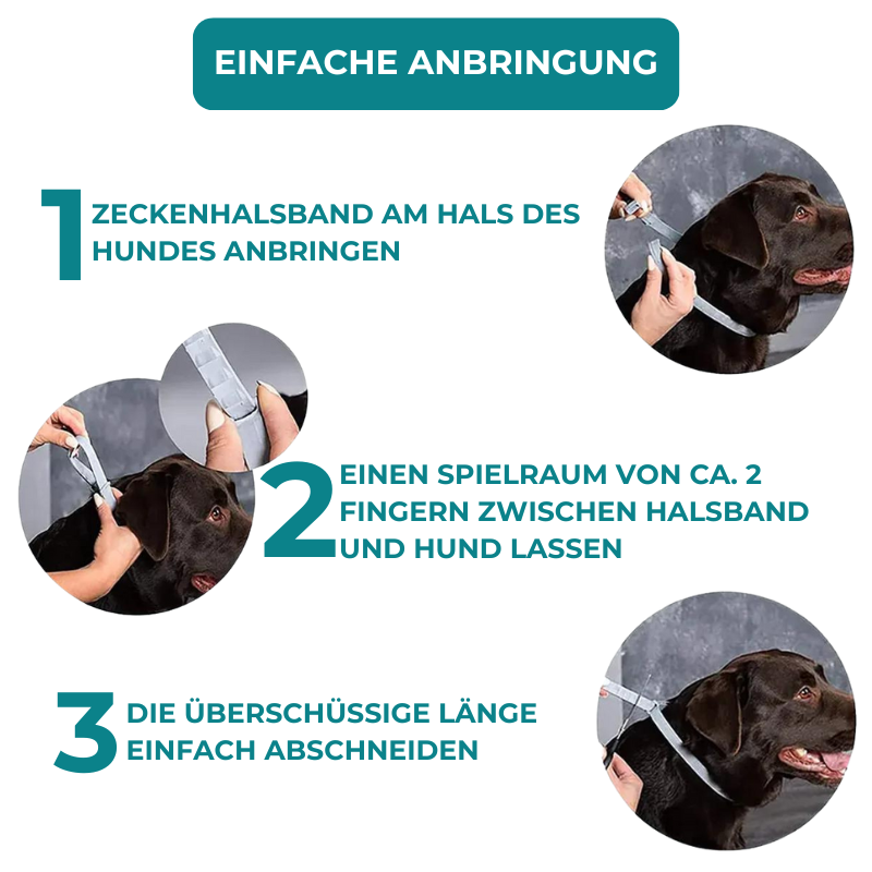 Petsnackss - Premium Halsband gegen Zecken & Flöhe