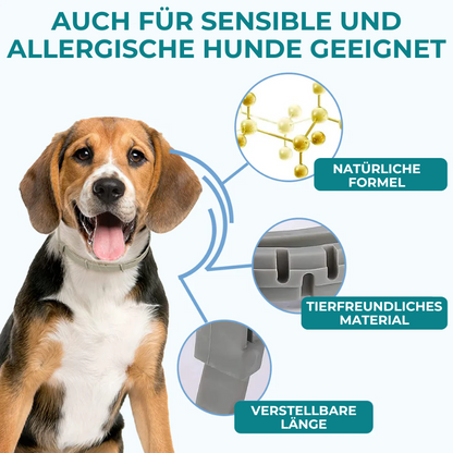 Petsnackss - Premium Halsband gegen Zecken & Flöhe