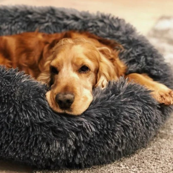 Petsnackss - Hundebett Kuscheldonut