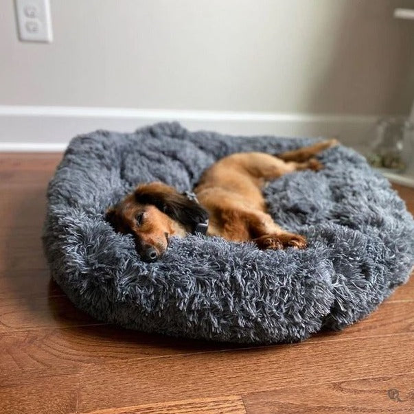 Petsnackss - Hundebett Kuscheldonut