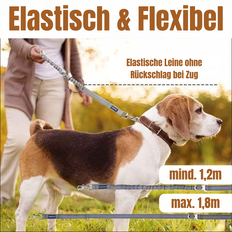 Hundeleine - Elastisch