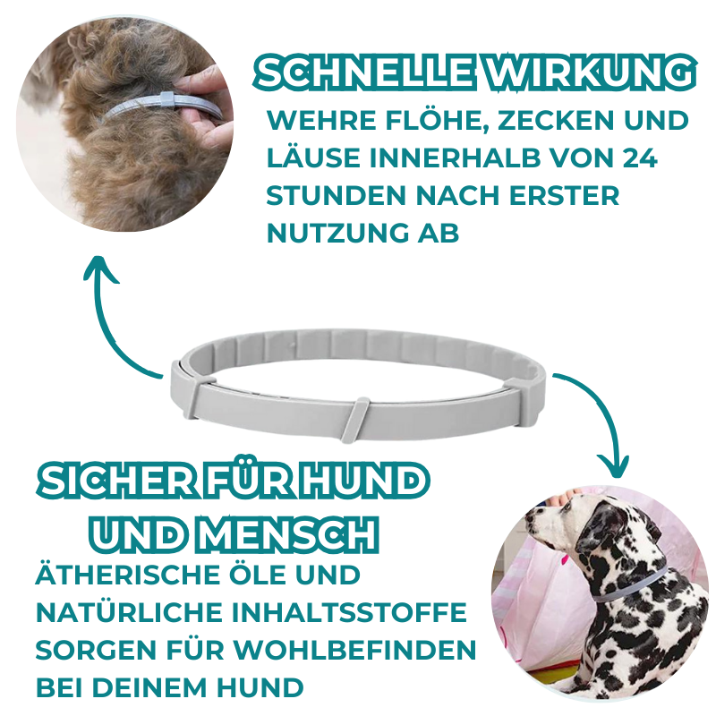 Petsnackss - Premium Halsband gegen Zecken & Flöhe