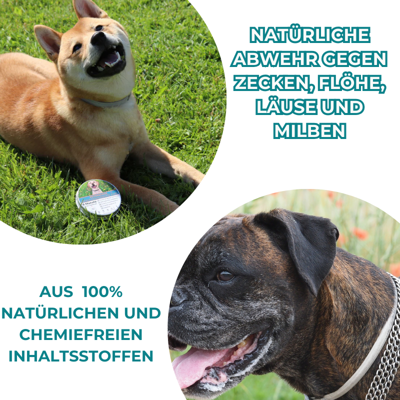 Petsnackss - Premium Halsband gegen Zecken & Flöhe