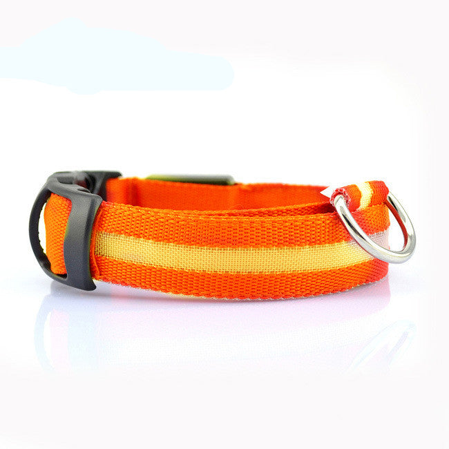 Petsnackss - Leuchtendes Halsband