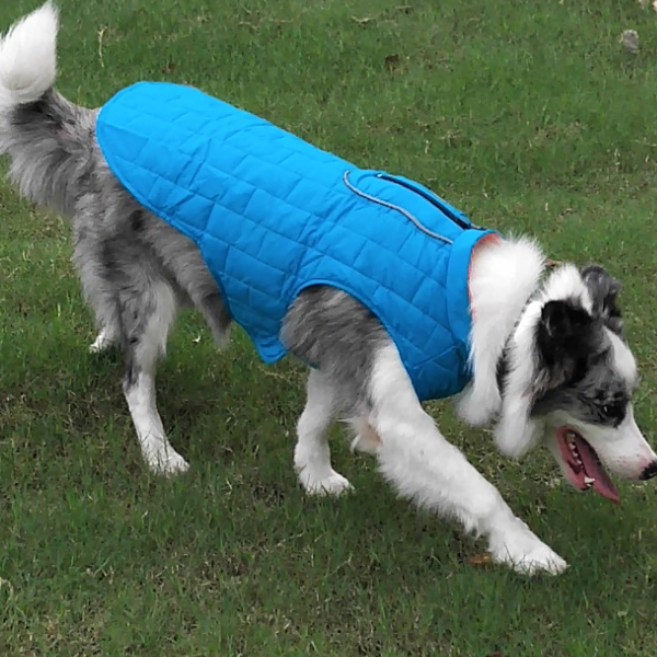 Petsnackss - Wasserdichte Hundeweste