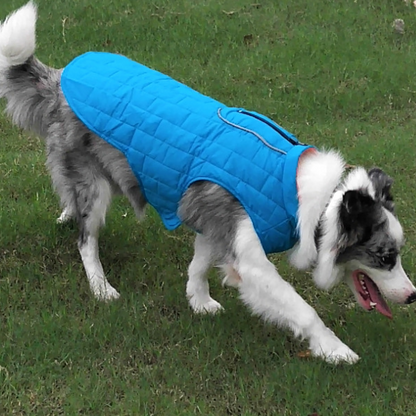 Petsnackss - Wasserdichte Hundeweste